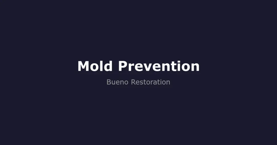 How to Prevent Mold in Your Pacific Northwest Home