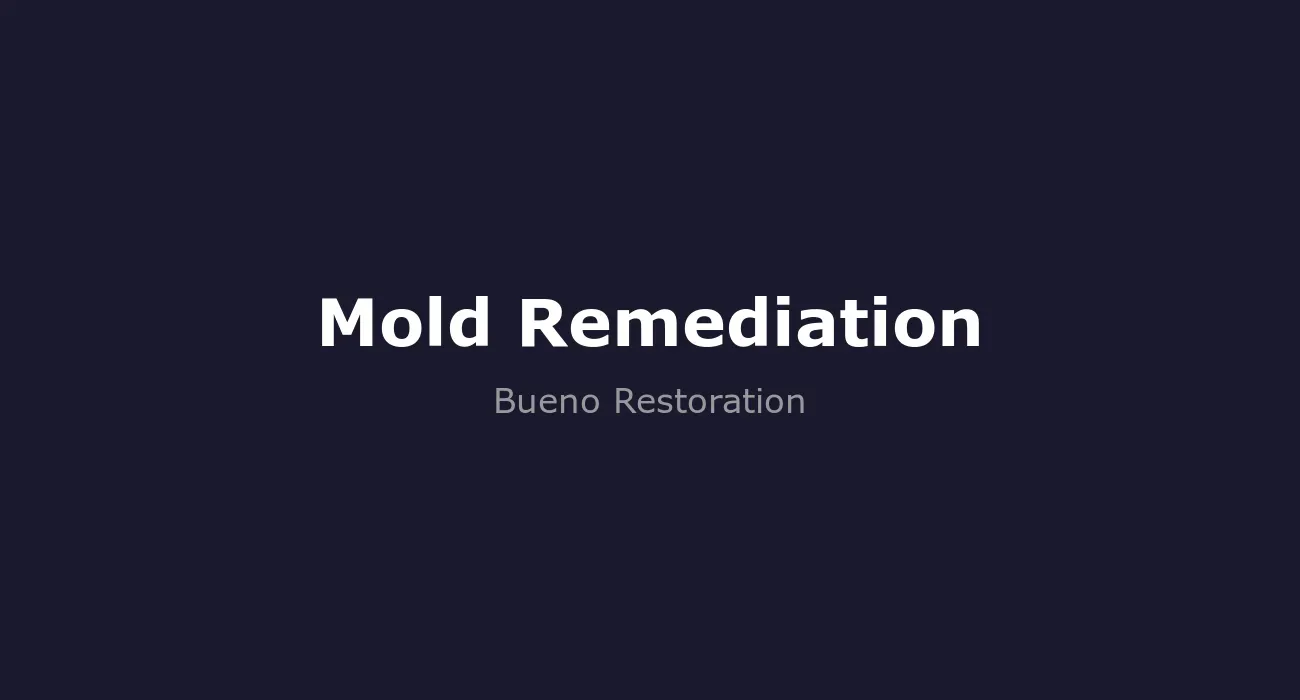 Mold Remediation